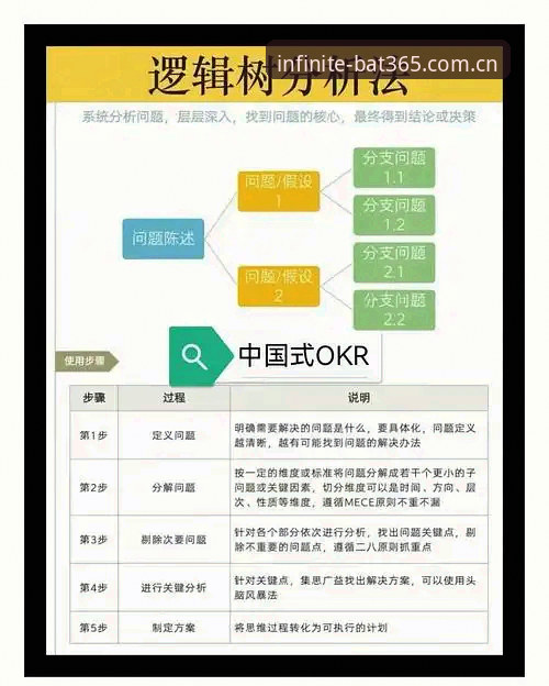中场补强实战指南：曼联双星交易前必看的实用分析